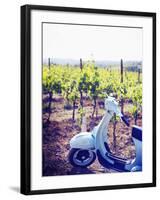 Italy, Umbria, Perugia District, Montefalco, Vespa Scooter in Vineyard-Francesco Iacobelli-Framed Photographic Print