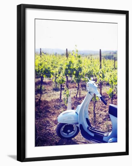 Italy, Umbria, Perugia District, Montefalco, Vespa Scooter in Vineyard-Francesco Iacobelli-Framed Photographic Print