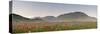 Italy, Umbria, Perugia District, Monti Sibillini Np, Norcia, Castelluccio-Francesco Iacobelli-Stretched Canvas