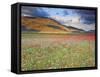 Italy, Umbria, Perugia District, Monti Sibillini Np, Norcia, Castelluccio-Francesco Iacobelli-Framed Stretched Canvas