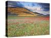 Italy, Umbria, Perugia District, Monti Sibillini Np, Norcia, Castelluccio-Francesco Iacobelli-Stretched Canvas