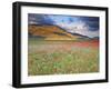 Italy, Umbria, Perugia District, Monti Sibillini Np, Norcia, Castelluccio-Francesco Iacobelli-Framed Photographic Print