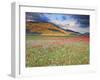 Italy, Umbria, Perugia District, Monti Sibillini Np, Norcia, Castelluccio-Francesco Iacobelli-Framed Photographic Print