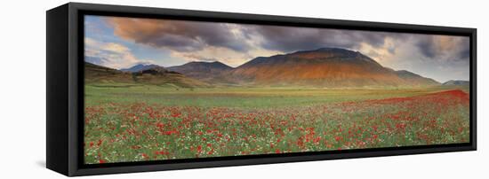 Italy, Umbria, Perugia District, Monti Sibillini Np, Norcia, Castelluccio-Francesco Iacobelli-Framed Stretched Canvas