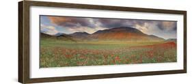 Italy, Umbria, Perugia District, Monti Sibillini Np, Norcia, Castelluccio-Francesco Iacobelli-Framed Photographic Print