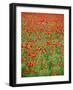 Italy, Umbria, Perugia District, Poppy Field-Francesco Iacobelli-Framed Photographic Print