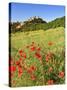 Italy, Umbria, Perugia District, Spoleto, Rocca Albornoz-Francesco Iacobelli-Stretched Canvas