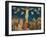 Italy, Umbria Region, Assisi, Basilica of San Francesco D'Assisi-Giotto di Bondone-Framed Giclee Print