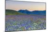 Italy, Umbria, Sunset in Castelluccio Di Norcia During Flowering-Andrea Pavan-Mounted Photographic Print