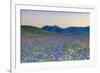 Italy, Umbria, Sunset in Castelluccio Di Norcia During Flowering-Andrea Pavan-Framed Photographic Print