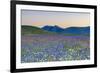 Italy, Umbria, Sunset in Castelluccio Di Norcia During Flowering-Andrea Pavan-Framed Photographic Print