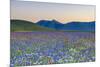 Italy, Umbria, Sunset in Castelluccio Di Norcia During Flowering-Andrea Pavan-Mounted Photographic Print