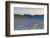 Italy, Umbria, Sunset in Castelluccio Di Norcia During Flowering-Andrea Pavan-Framed Photographic Print