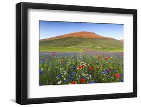 Italy, Umbria, Sunset in Castelluccio Di Norcia During Flowering-Andrea Pavan-Framed Photographic Print