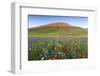 Italy, Umbria, Sunset in Castelluccio Di Norcia During Flowering-Andrea Pavan-Framed Photographic Print