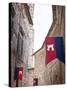Italy, Umbria, Terni District, Narni, Corsa All'Anello, Historical Horses Fair-Francesco Iacobelli-Stretched Canvas