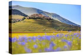 Italy, Umbria, Village of Castelluccio Seen Above Fields of Cornflowers-Andrea Pavan-Stretched Canvas