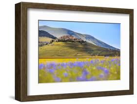 Italy, Umbria, Village of Castelluccio Seen Above Fields of Cornflowers-Andrea Pavan-Framed Photographic Print