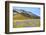 Italy, Umbria, Village of Castelluccio Seen Above Fields of Cornflowers-Andrea Pavan-Framed Photographic Print