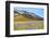 Italy, Umbria, Village of Castelluccio Seen Above Fields of Cornflowers-Andrea Pavan-Framed Photographic Print