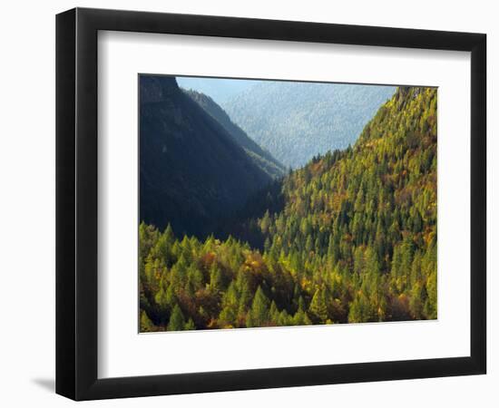 Italy, Valle Corpassa in Civetta, Moiazza mountain range in the dolomites of the Veneto.-Martin Zwick-Framed Photographic Print