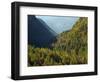 Italy, Valle Corpassa in Civetta, Moiazza mountain range in the dolomites of the Veneto.-Martin Zwick-Framed Photographic Print