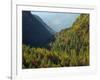 Italy, Valle Corpassa in Civetta, Moiazza mountain range in the dolomites of the Veneto.-Martin Zwick-Framed Photographic Print