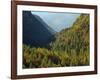 Italy, Valle Corpassa in Civetta, Moiazza mountain range in the dolomites of the Veneto.-Martin Zwick-Framed Photographic Print