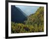 Italy, Valle Corpassa in Civetta, Moiazza mountain range in the dolomites of the Veneto.-Martin Zwick-Framed Photographic Print