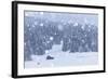 Italy, Veneto, Dolomites, Winter in Sappada-Anne Maenurm-Framed Photographic Print