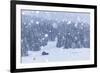 Italy, Veneto, Dolomites, Winter in Sappada-Anne Maenurm-Framed Photographic Print