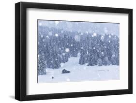 Italy, Veneto, Dolomites, Winter in Sappada-Anne Maenurm-Framed Photographic Print