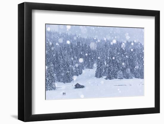 Italy, Veneto, Dolomites, Winter in Sappada-Anne Maenurm-Framed Photographic Print