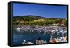 Italy, Veneto, Lake Garda, Garda, Harbour with Lakeside Promenade-Udo Siebig-Framed Stretched Canvas