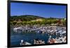 Italy, Veneto, Lake Garda, Garda, Harbour with Lakeside Promenade-Udo Siebig-Framed Photographic Print