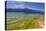 Italy, Veneto, Lake Garda, Torri Del Benaco, Lakeside Promenade-Udo Siebig-Stretched Canvas