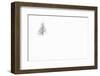 Italy, Veneto, Larch Isolated in White Snow-Gabriele Bano-Framed Premium Photographic Print