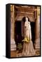 Italy, Veneto, Padua. Statue of a Madonna in the Church of San Gaetano.-Ken Scicluna-Framed Stretched Canvas