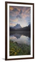 Italy, Veneto, Sextener Dolomiten (Sexten Dolomites), Lago Antorno, Marsh Marigolds-Rainer Mirau-Framed Photographic Print