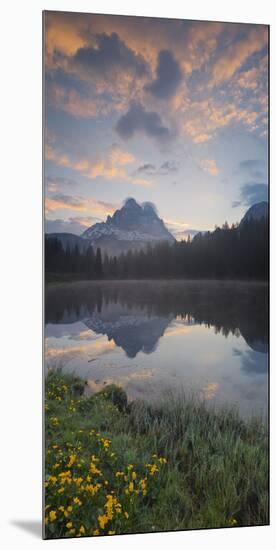 Italy, Veneto, Sextener Dolomiten (Sexten Dolomites), Lago Antorno, Marsh Marigolds-Rainer Mirau-Mounted Photographic Print