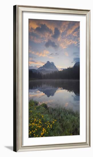Italy, Veneto, Sextener Dolomiten (Sexten Dolomites), Lago Antorno, Marsh Marigolds-Rainer Mirau-Framed Photographic Print