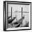 Italy, Veneto, Venezia District, Venice. San Giorgio Maggiore. Gondolas.-Francesco Iacobelli-Framed Photographic Print