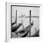 Italy, Veneto, Venezia District, Venice. San Giorgio Maggiore. Gondolas.-Francesco Iacobelli-Framed Photographic Print