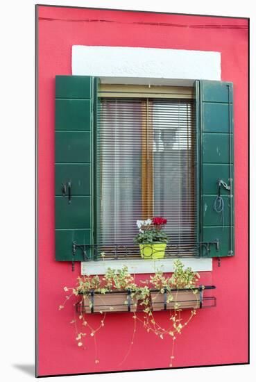 Italy, Veneto, Venice, Burano. Typical Window on a Colorful House-Matteo Colombo-Mounted Photographic Print