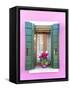 Italy, Veneto, Venice, Burano. Typical Window on a Colorful House-Matteo Colombo-Framed Stretched Canvas