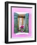 Italy, Veneto, Venice, Burano. Typical Window on a Colorful House-Matteo Colombo-Framed Photographic Print