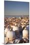 Italy, Veneto, Venice. Overview of the City with San Marco Cathedral Cupolas. Unesco.-Ken Scicluna-Mounted Photographic Print