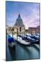 Italy, Veneto, Venice. Santa Maria Della Salute Church on the Grand Canal, at Sunset-Matteo Colombo-Mounted Photographic Print