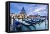 Italy, Veneto, Venice. Santa Maria Della Salute Church on the Grand Canal, at Sunset-Matteo Colombo-Framed Stretched Canvas