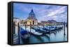 Italy, Veneto, Venice. Santa Maria Della Salute Church on the Grand Canal, at Sunset-Matteo Colombo-Framed Stretched Canvas